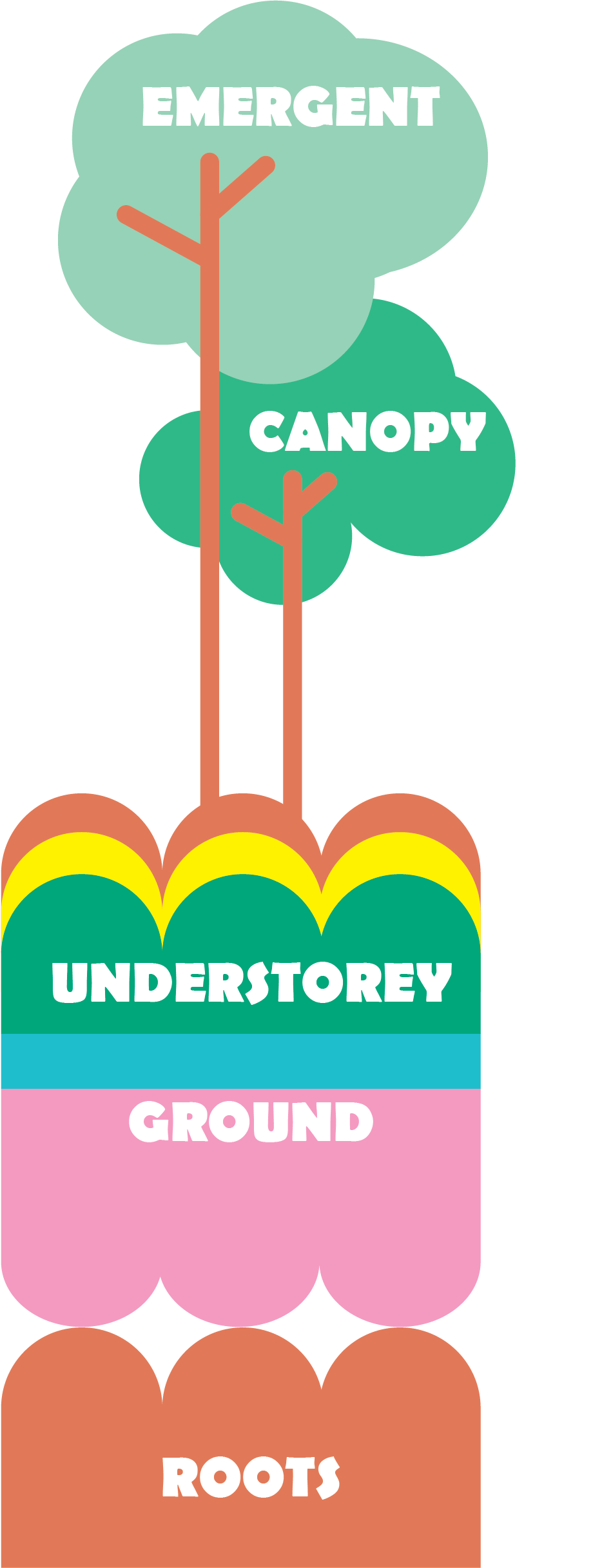 A diagram shwoing the vision for Holt Town represented as woodland layers. This shows emergent at the top, canopy, understorey, ground and roots. The map shows the site boundary with points detailing the layers.